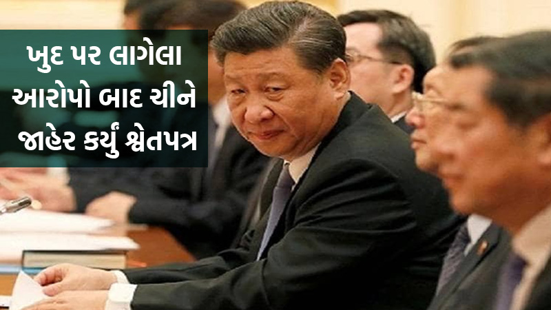 article-logo