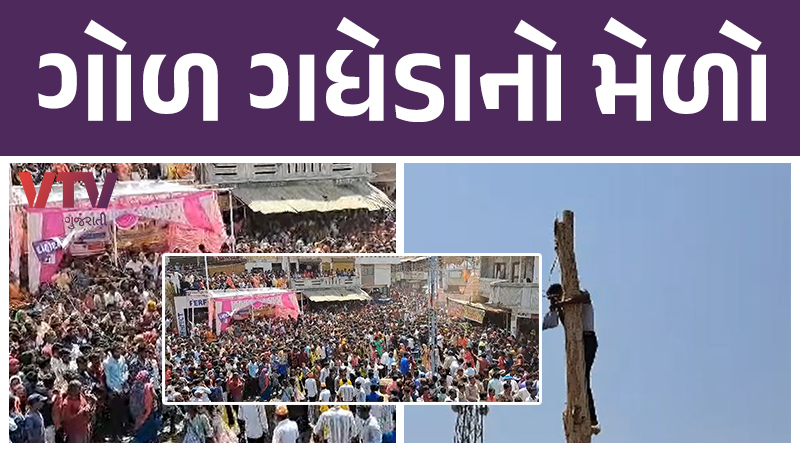 article-logo