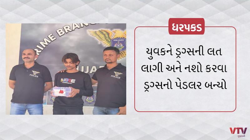 article-logo