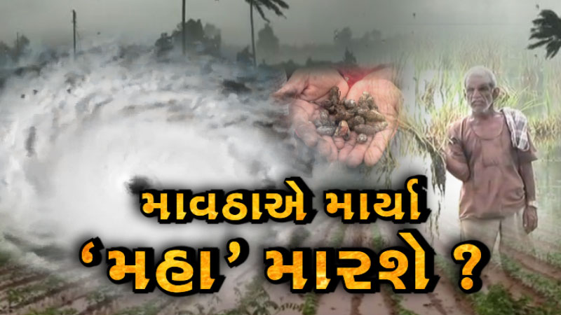 article-logo
