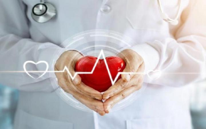 article-logo