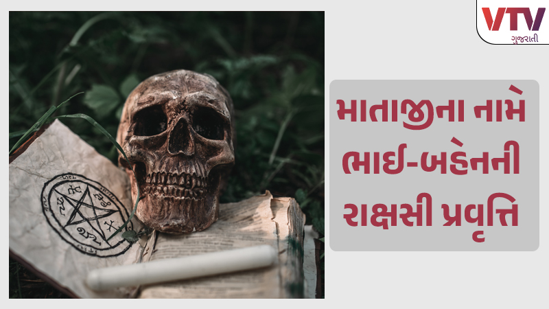article-logo