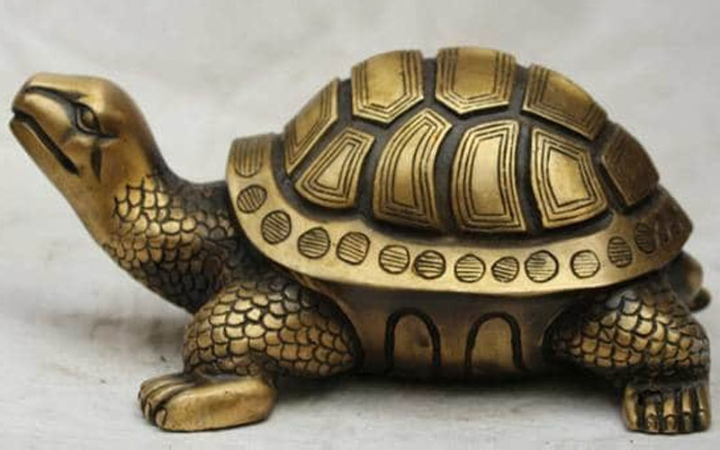 ઘરે લાવો કાચબો, મળશે ખુબ જ લાભ! | Fengshui tips benifits of tortoise