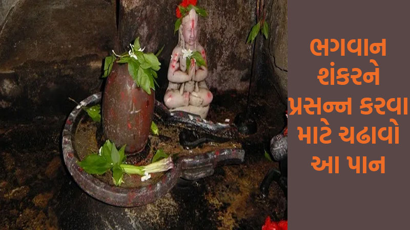 article-logo