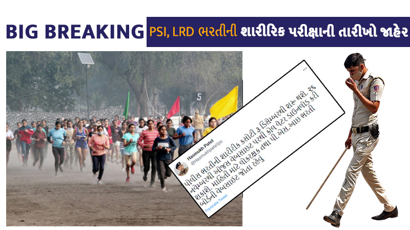 article-logo
