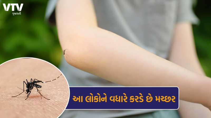 article-logo