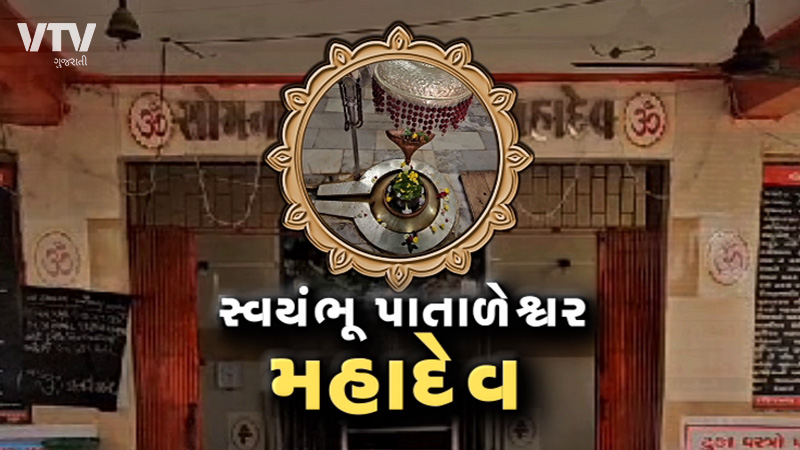 article-logo