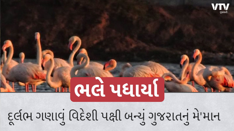 article-logo