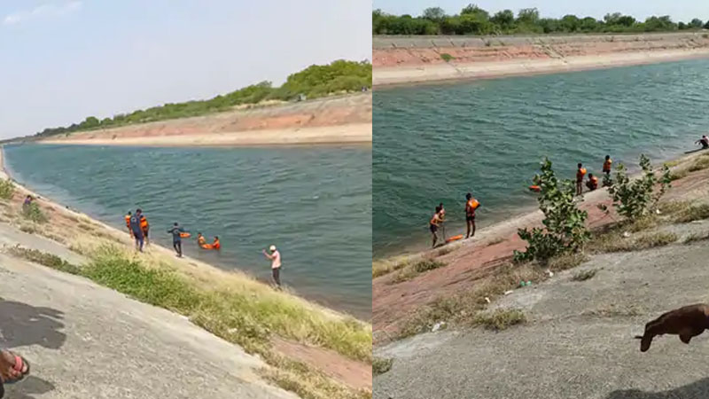 કડીની નર્મદા કેનાલમાં 3 કિશોરી ડૂબી, એકને ભારે જહેમત બચાવાઈ, 2 ધસમસતા પાણીના વહેણમાં ગરકાવ | 3 girls drowned in Narmada canal near Mehsana