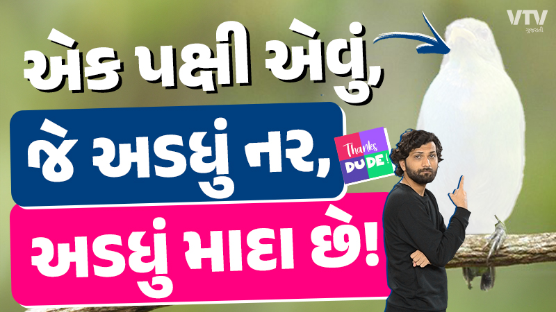 article-logo