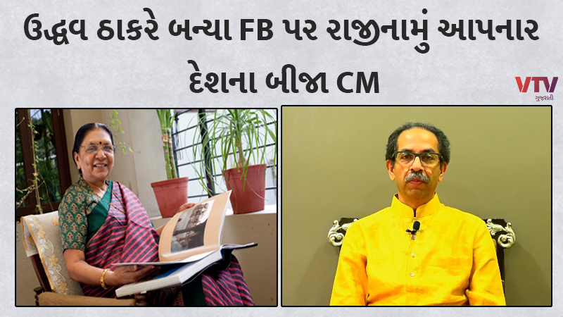 article-logo