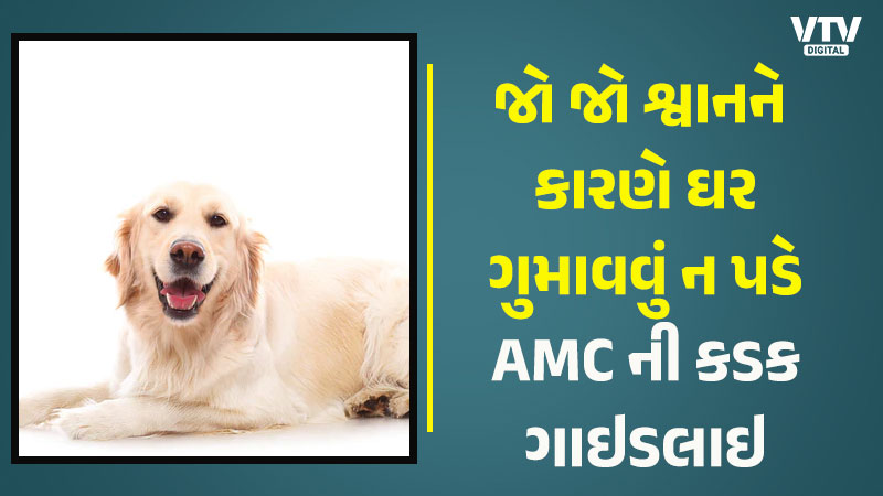 article-logo