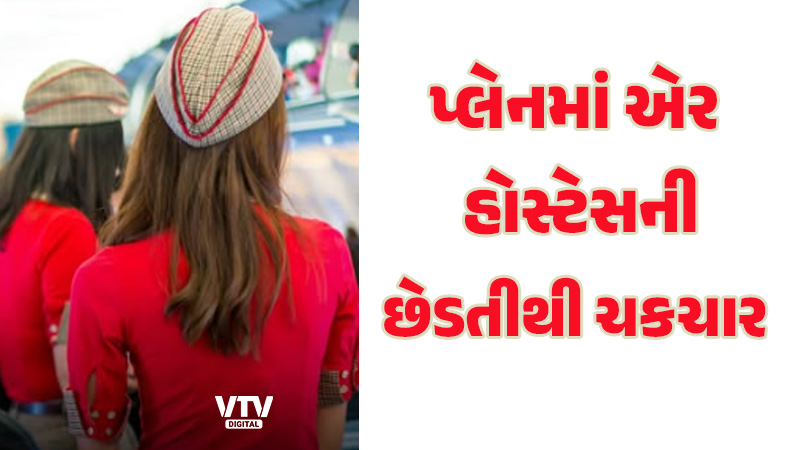 article-logo
