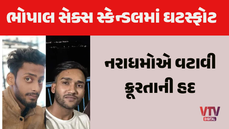 article-logo