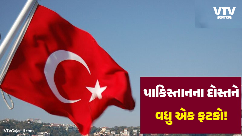 article-logo