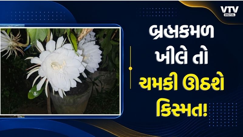 article-logo