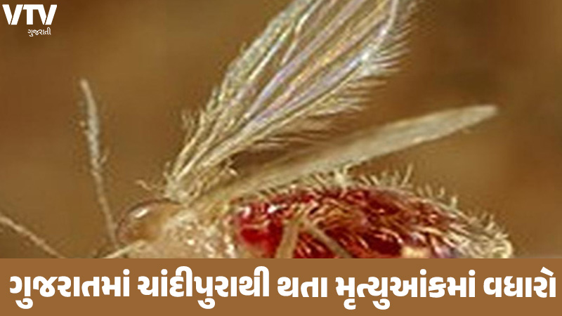 article-logo