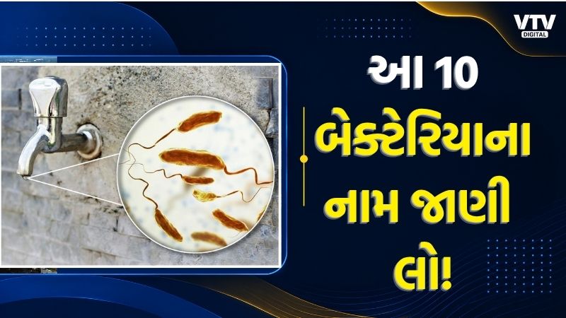 article-logo