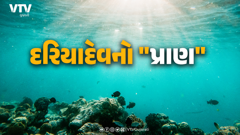 article-logo