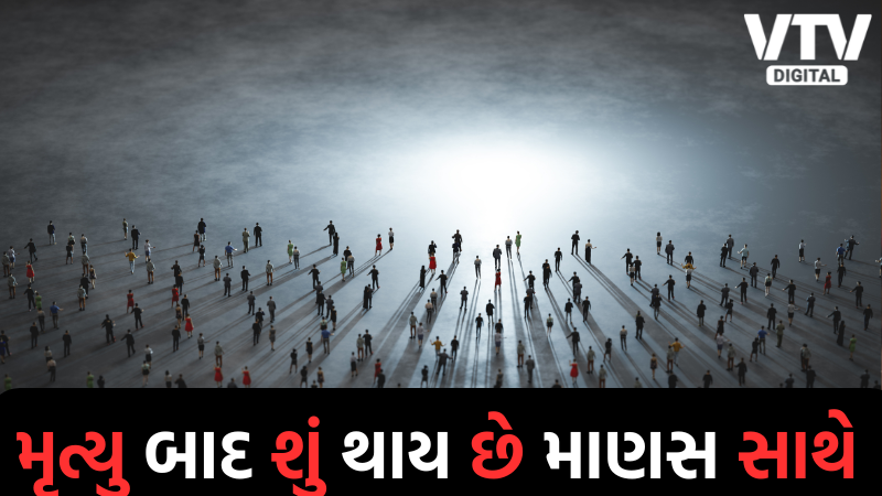 article-logo