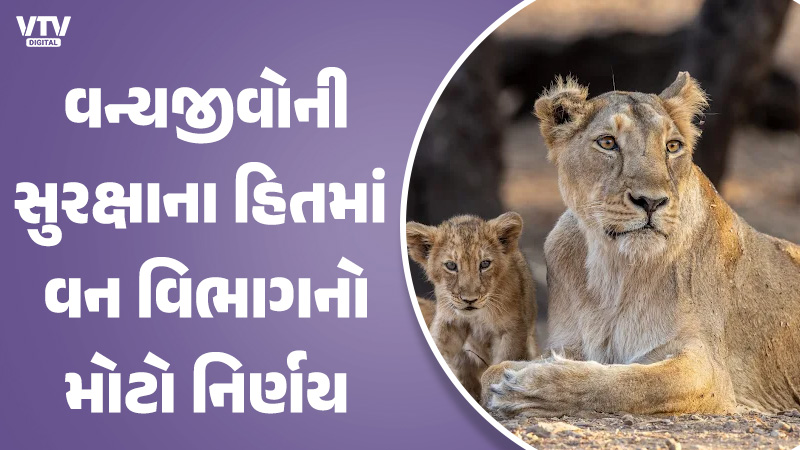 article-logo
