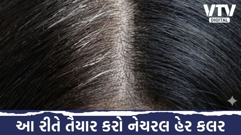 article-logo