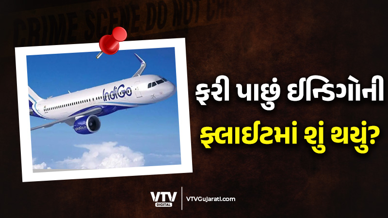 article-logo