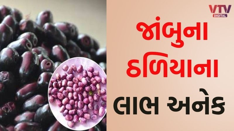 article-logo
