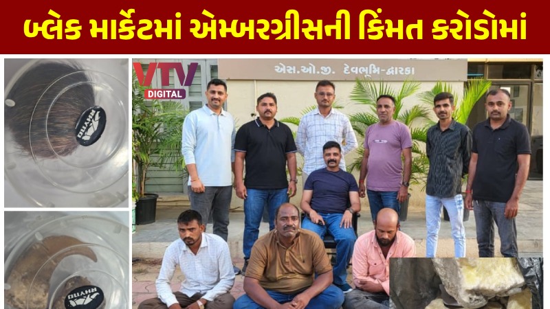 article-logo
