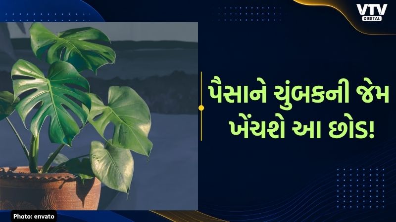 article-logo