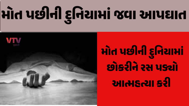 article-logo
