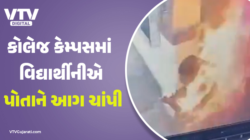 article-logo