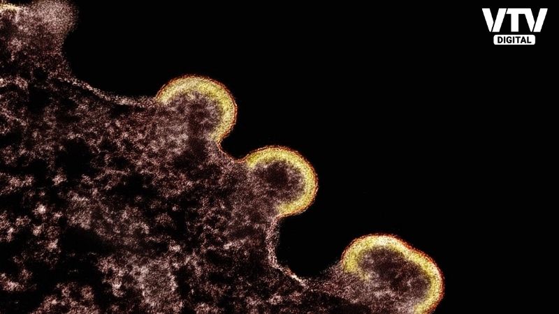 photoStories-logo