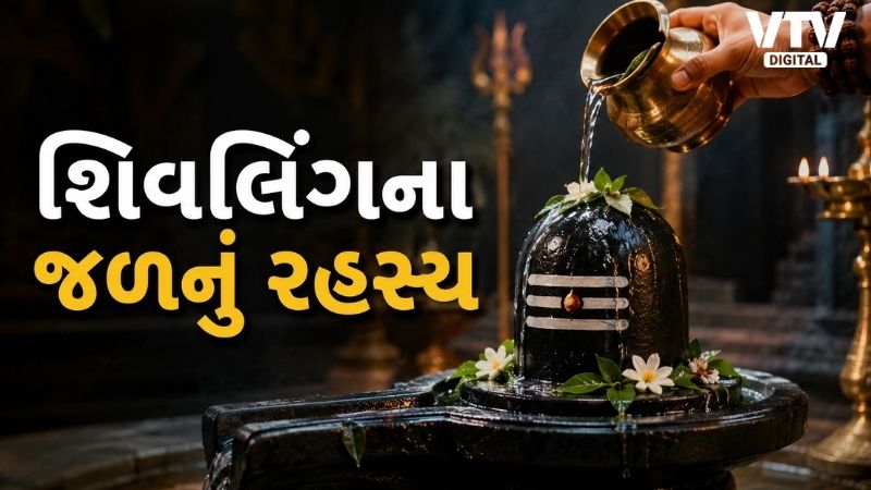 article-logo
