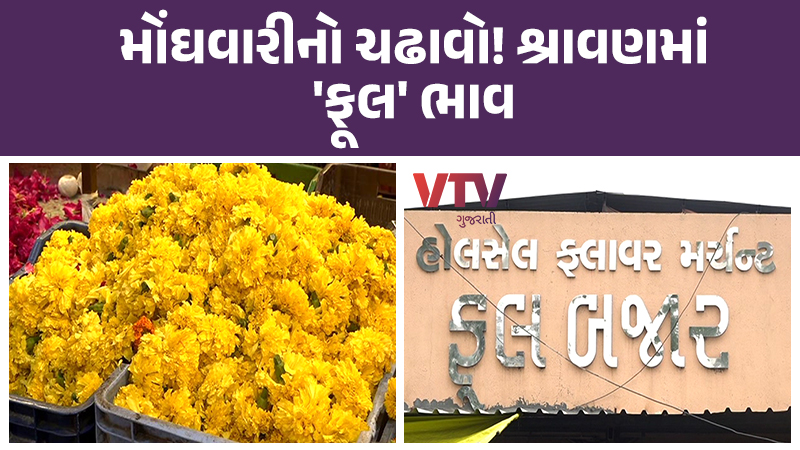 article-logo