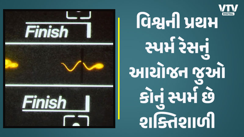 article-logo