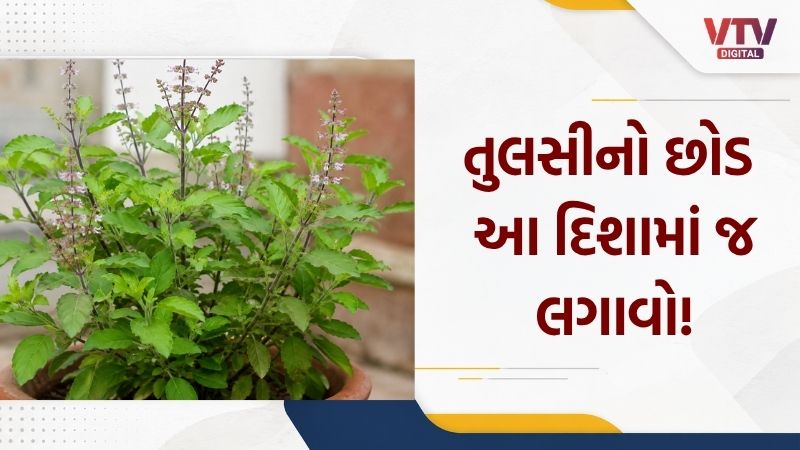 article-logo