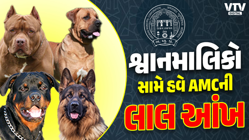 article-logo