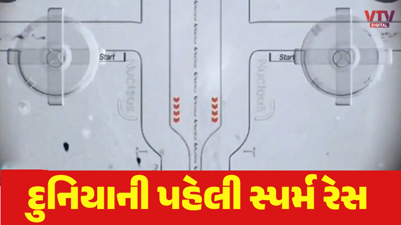 article-logo