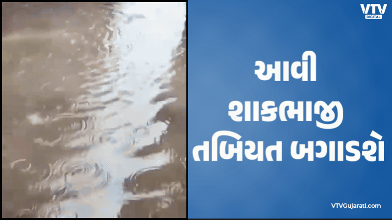 article-logo