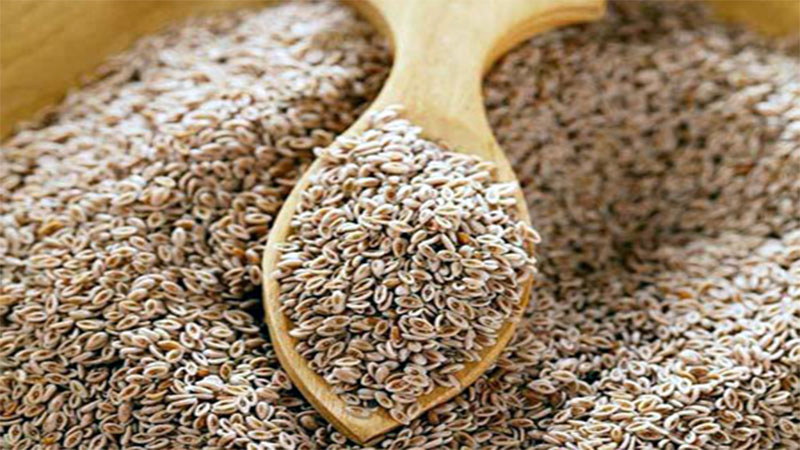 article-logo