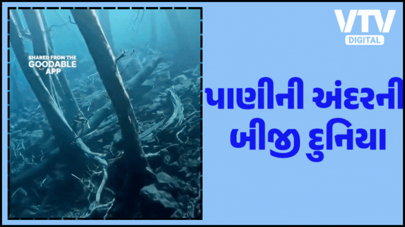 article-logo
