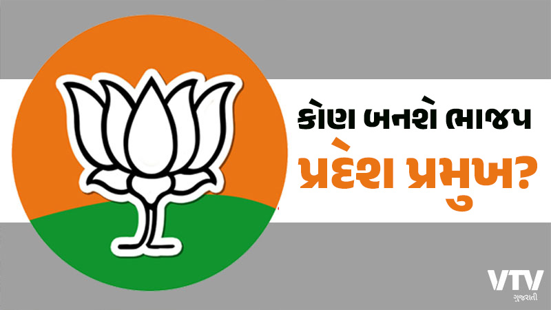 article-logo