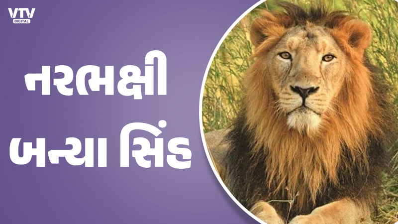 article-logo