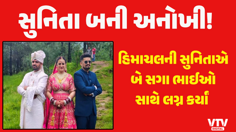 article-logo