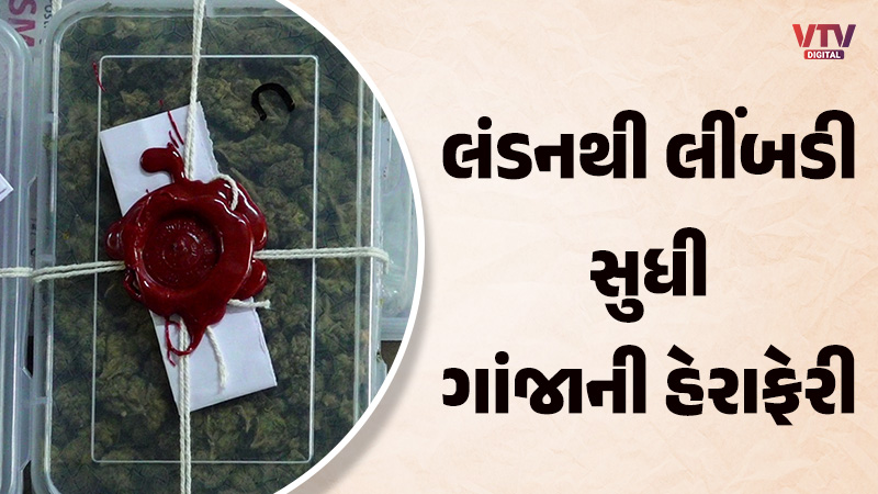 article-logo