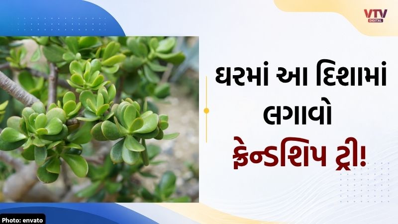article-logo