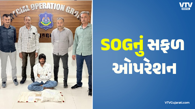 article-logo