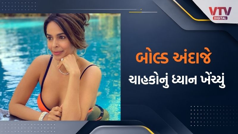 article-logo