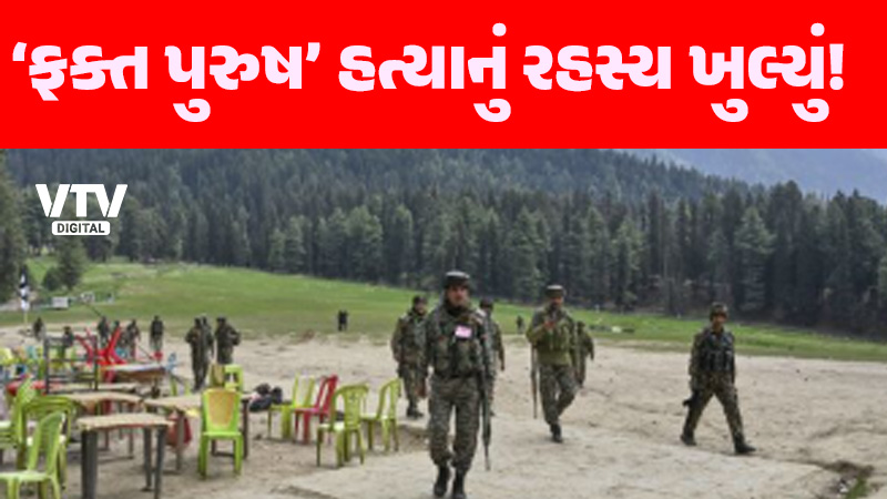 article-logo
